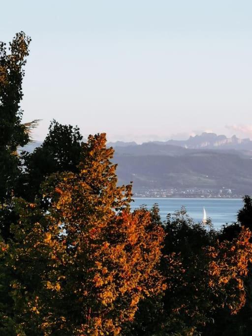 Wohnen Direkt Am Uferpark Mit Grossem Balkon Und Seeblick FDH المظهر الخارجي الصورة